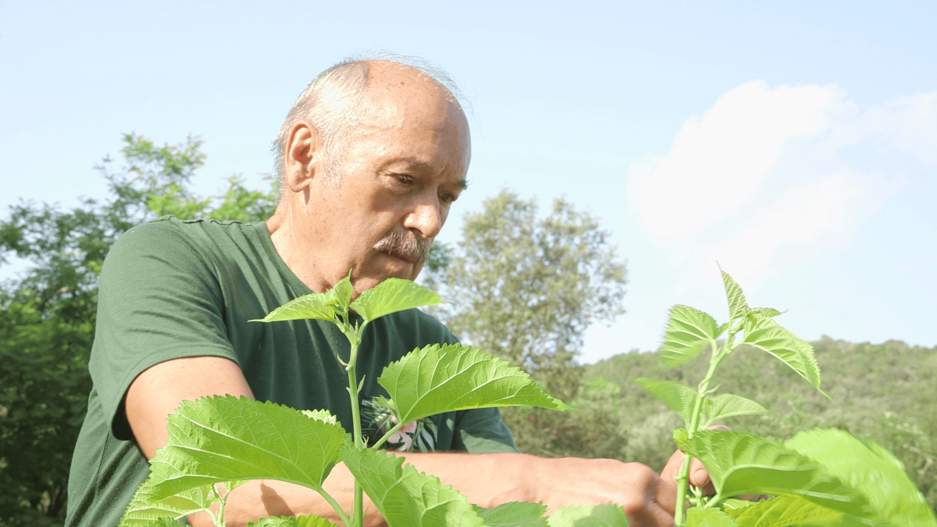 ミッシェル・コスタ