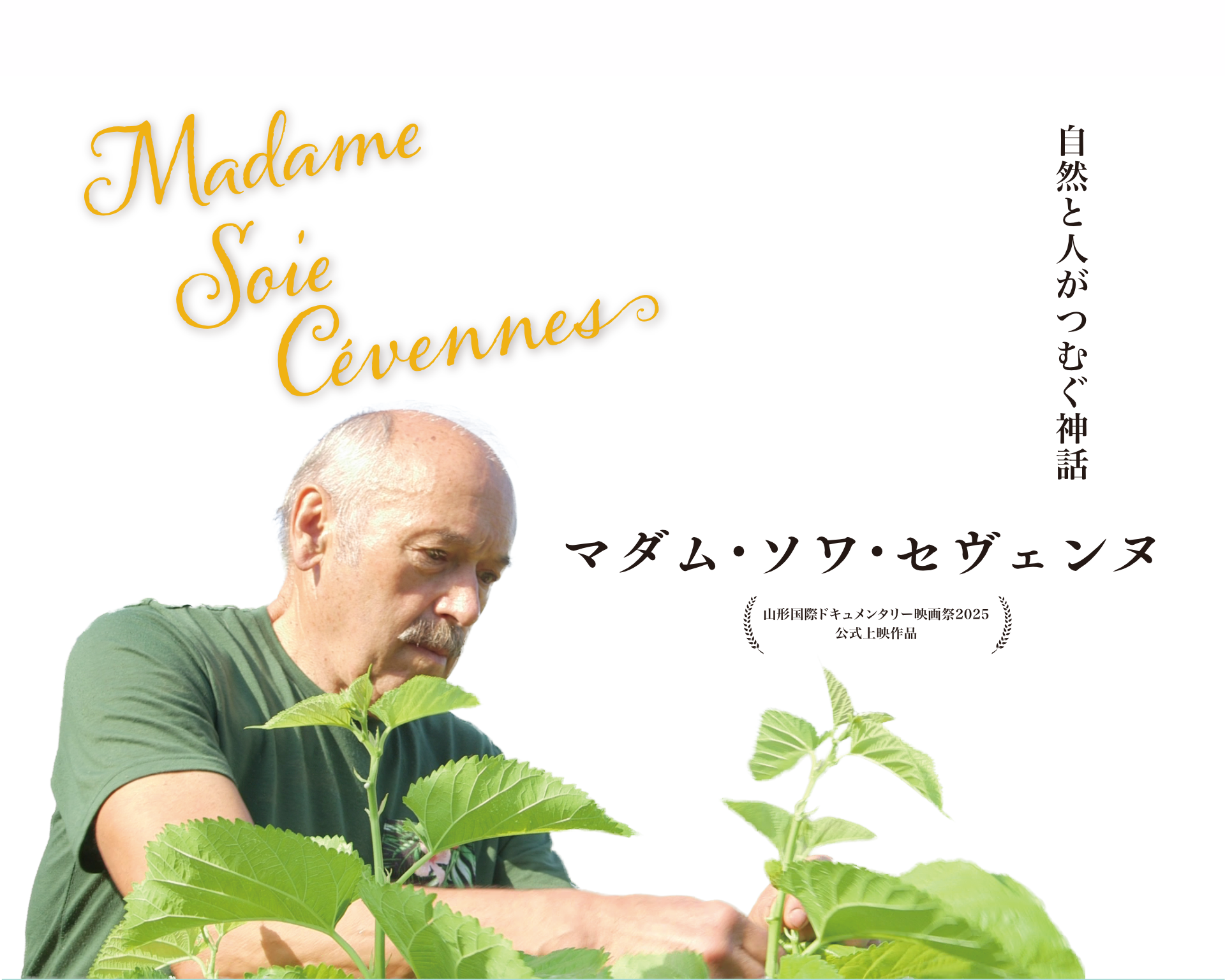 マダム・ソワ・セヴェンヌ